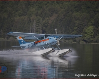 TSR Watermark - 0198